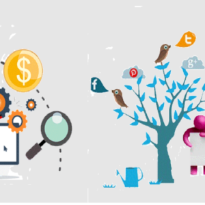 Boost Your Online Presence with Expert SEO and SMO Services
